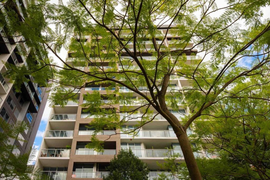 City Apartment, Pool & Carpark 阿德莱德 外观 照片